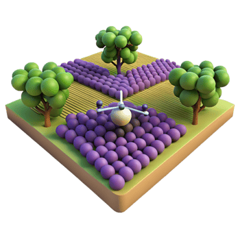 impressive artistic Drone View of Vineyard with Rows of Grapes Cutout high quality png