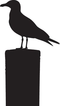 Seagull Perching Sitting on a post, pier, or beach with body upright head alert. full length silhouette black illustration vector