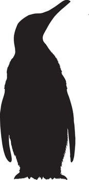 Penguin Communicating Standing tall head raised and beak open. full length silhouette black illustration vector