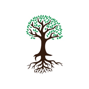 Trendy Creative Modern Tree of Life Logo vector