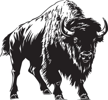 Bison Charging Head lowered, body leaned forward, tail lifted high. full length silhouette black illustration vector