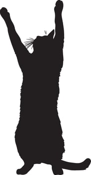 Arched Cat Silhouette A cat stretching with its front paws extended and back curved upward, full-length black silhouette illustration. vector
