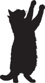Cat Playing with Toy Silhouette A cat standing on its hind legs, extending one paw to bat at a toy, complete black silhouette design. vector