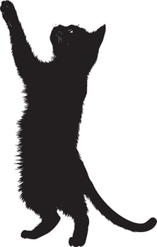 Batting at a Toy Silhouette A cat standing on hind legs, one paw swiping. full length silhouette black illustration vector