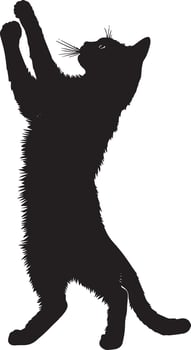 Cat Batting at Toy Silhouette A cat upright on its hind legs, swiping with one paw at a toy, full-length black silhouette illustration. vector