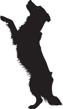 Standing on Hind Legs Silhouette A dog balancing with front paws raised. full length silhouette black illustration vector