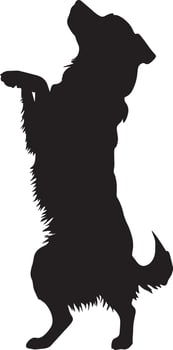 Dog Balancing on Hind Legs Silhouette A dog standing upright with its front paws lifted, full-length black silhouette illustration. vector