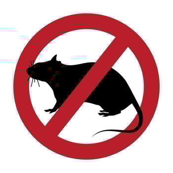 No rats sign, icon. Pest control symbol. Silhouette of a rat crossed out in a red circle. Isolated illustration vector