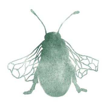 A watercolor bee in a green paint gradient. Abstract silhouette of a bee with wings for making postcards, prints, emblems, tattoos png