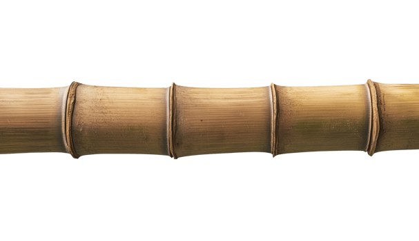 Horizontal Bamboo Stick png