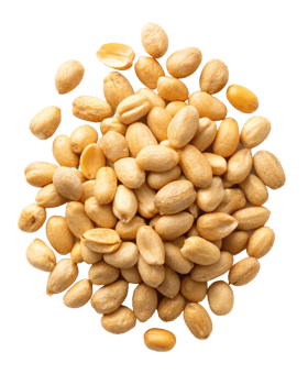 Fresh and crunchy peanuts loosely placed on transparent background png