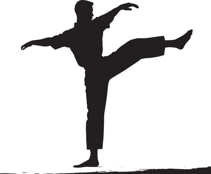A martial artist kick extended to the side with the foot pushed out horizontally. full length silhouette black illustration vector