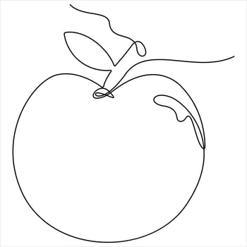 Single continuous line drawing of apple fruit Minimalist style apple fruit line drawing vector