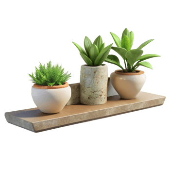 vibrant modern Floating Shelf with Plants Isolated Element high resolution png