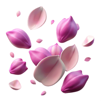 impressive creative Flower Petals Falling Isolated 4K png
