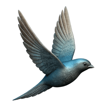 elegant contemporary Flying Bird Silhouette with Transparent Background detailed png