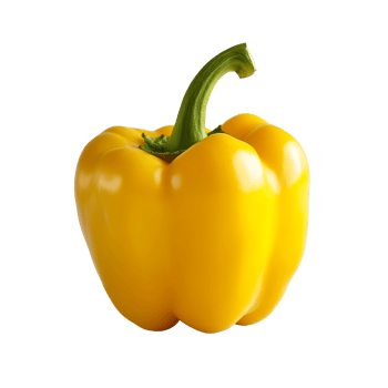 A vibrant yellow bell pepper showcasing its smooth skin and rich color against a clean transparent background, yellow pepper full depth of field on transparent background png