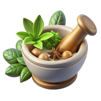 magnificent abstract Fresh Herbs and Spices Culinary Wellness Cutout professional png