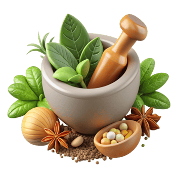 extraordinary modern Fresh Herbs and Spices Culinary Wellness Cutout professional png