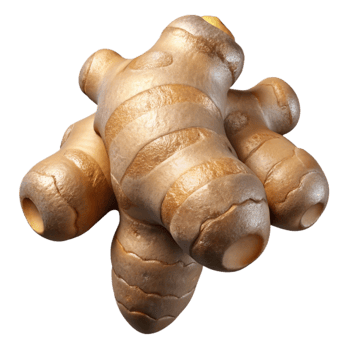 wonderful rustic Ginger Root Cutout with Rough Texture 4K png
