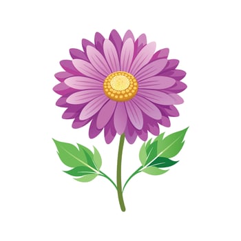 Beautiful Alpine Aster Flower Design Art vector