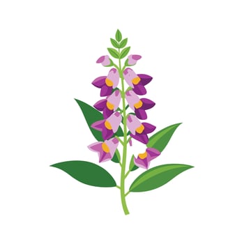 Vibrant Angelonia Flower Nature Design vector