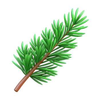 elegant traditional Green Pine Tree Branch Isolated on Transparent Background high quality png