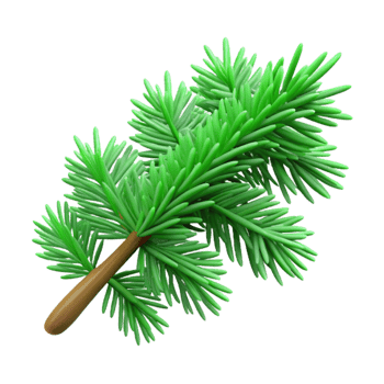 dramatic modern Green Pine Tree Branch Isolated on Transparent Background exclusive png