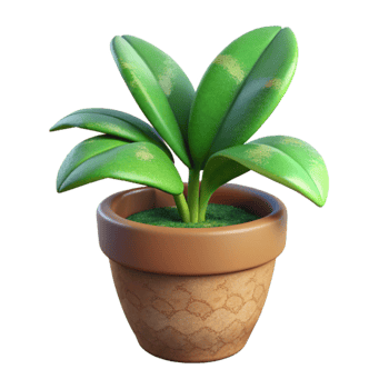 elegant modern Green Plant in Terracotta Pot Side Angle Isolated Element 4K png