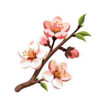 Creative Apricot Blossom Flower Nature Design vector