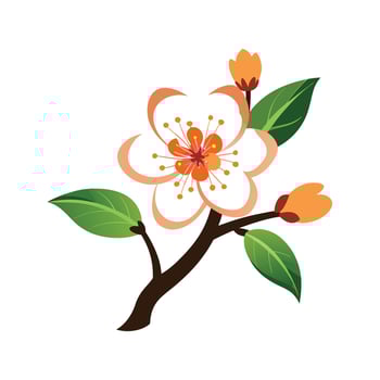 Vibrant Apricot Blossom Nature Illustration vector