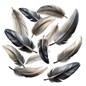 elegant classic Group of Feathers Falling Isolated with Varied Textures genuine png