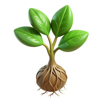 serene minimalist Growing Plant with Roots Visible Isolated original png
