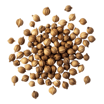 Coriander seeds spread across a clean transparent surface showcasing their unique shape and natural color variations in lighting, Coriander seeds on transparent background png