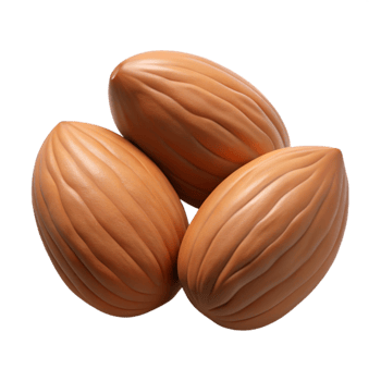serene modern Handful of Almonds Isolated genuine png