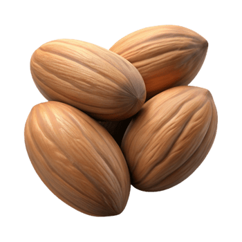 beautiful rustic Handful of Almonds Isolated premium png