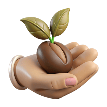 stunning vintage Hand Holding a Seed Growth Potential Concept Brown Seed Isolated exclusive png