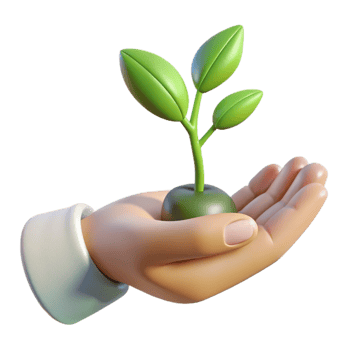 elegant traditional Hand Holding a Small Plant with Gentle Sunlight Transparent Background 4K png