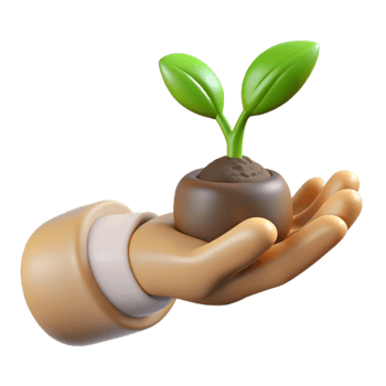 beautiful minimalist Hand Holding a Seedling Transparent Background 4K png