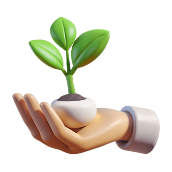 stunning rustic Hand Holding a Small Plant with Gentle Sunlight Transparent Background authentic png