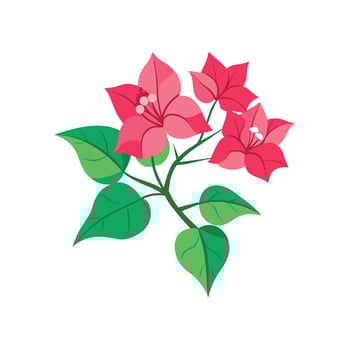 Stunning Bougainvillea Flower Design vector