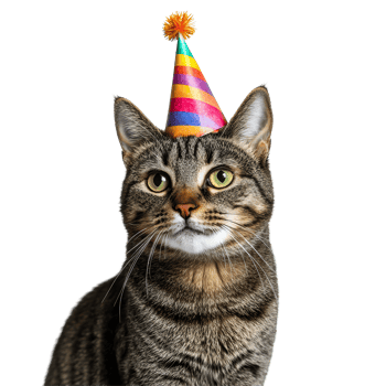 Tabby cat celebrates with a colorful party hat against a bright transparent background, Tabby Cat with Colorful Party Hat on transparent background png