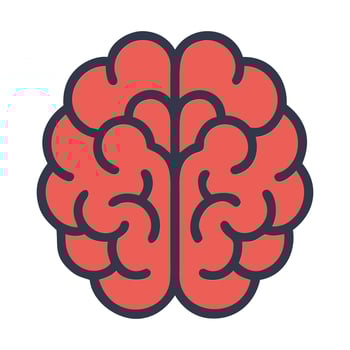 Brain Icon with Two Hemispheres Showing Intelligence illustration vector