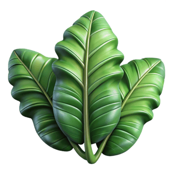 beautiful abstract Jungle Leaves Close Up Isolated premium png