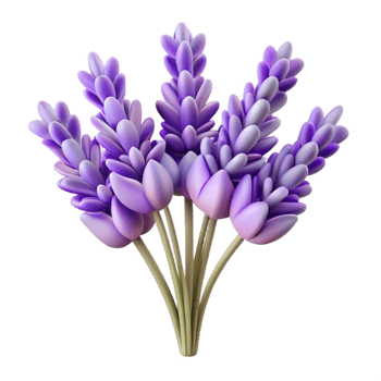 vibrant modern Lavender Flowers Bunch Cutout professional png