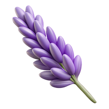 beautiful traditional Lavender Sprig Close Up Isolated Element detailed png