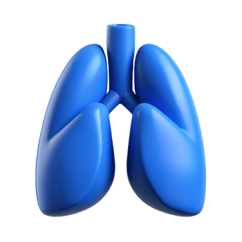 beautiful contemporary Lungs Icon Blue Isolated Cutout exclusive png
