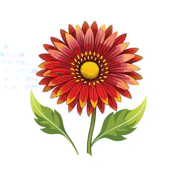 Elegant Gaillardia Flower Design with Unique Blooms vector