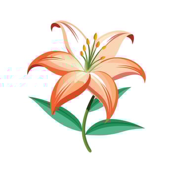 Elegant Lily Flower with Colorful Blooms vector