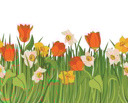 seamless pattern with spring flowers and green grass. Red tulips, yellow and white daffodils on the meadow. Cartoon style clipart. vector